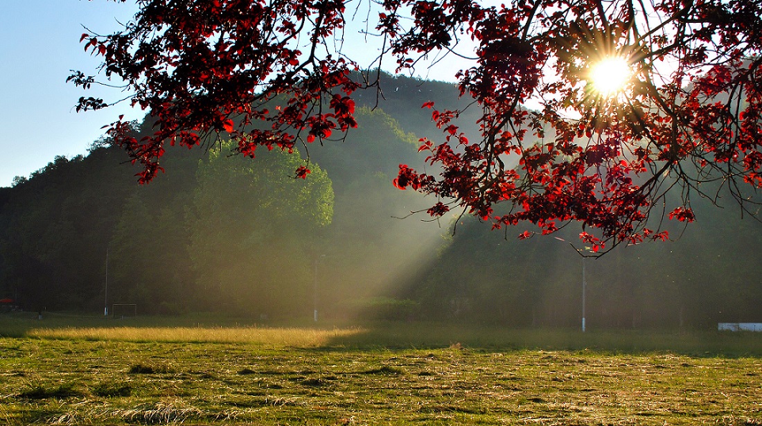 autumn